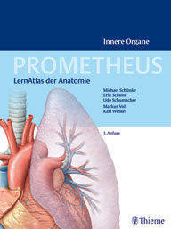 Prometheus Innere Organe