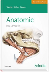 Sobotta Lehrbuch Anatomie
