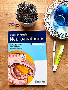 Die 2. Auflage des Kurzlehrbuchs Neuroanatomie (Thieme)